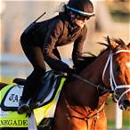 bet kentucky derby